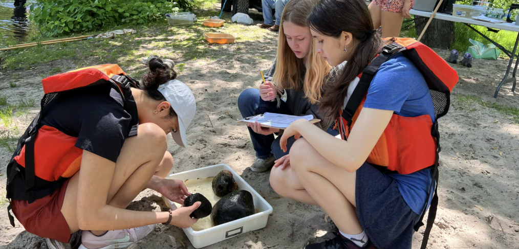 From left, Jasmine Malik, Emma Pautz, and Abigail Goblick, juniors at Barrington High School, are examining their catch during a field trip to the Blackstone River in Manville, R.I., on May 29.COURTESY OF BARRINGTON HIGH SCHOOL